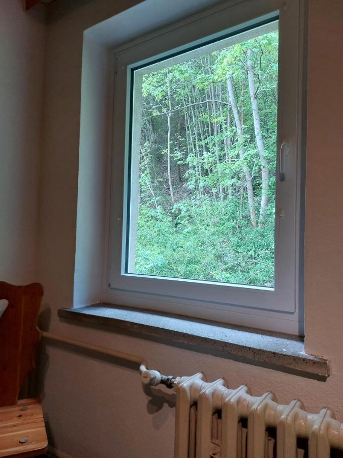 Pension Sternschnuppe, Treseburg Harz, Unmittelbar Am Wasser Thale Buitenkant foto